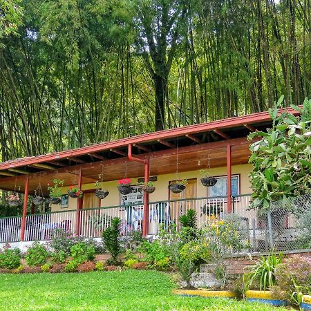 Finca Turistica Los Rosales Перейра Экстерьер фото