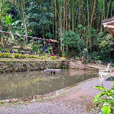 Finca Turistica Los Rosales Перейра Экстерьер фото